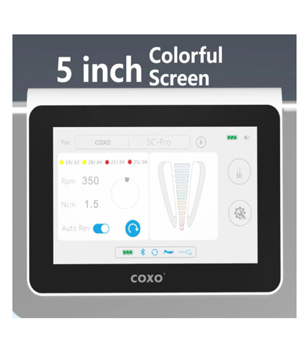 طب الأسنان C Master Coxos الديناميكي الكهربائي مع Endomotor كل شيء في واحد برشة غير الكهربائية LED Endomotor Micromotor